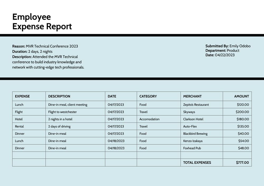Printable Expense Report Template Download